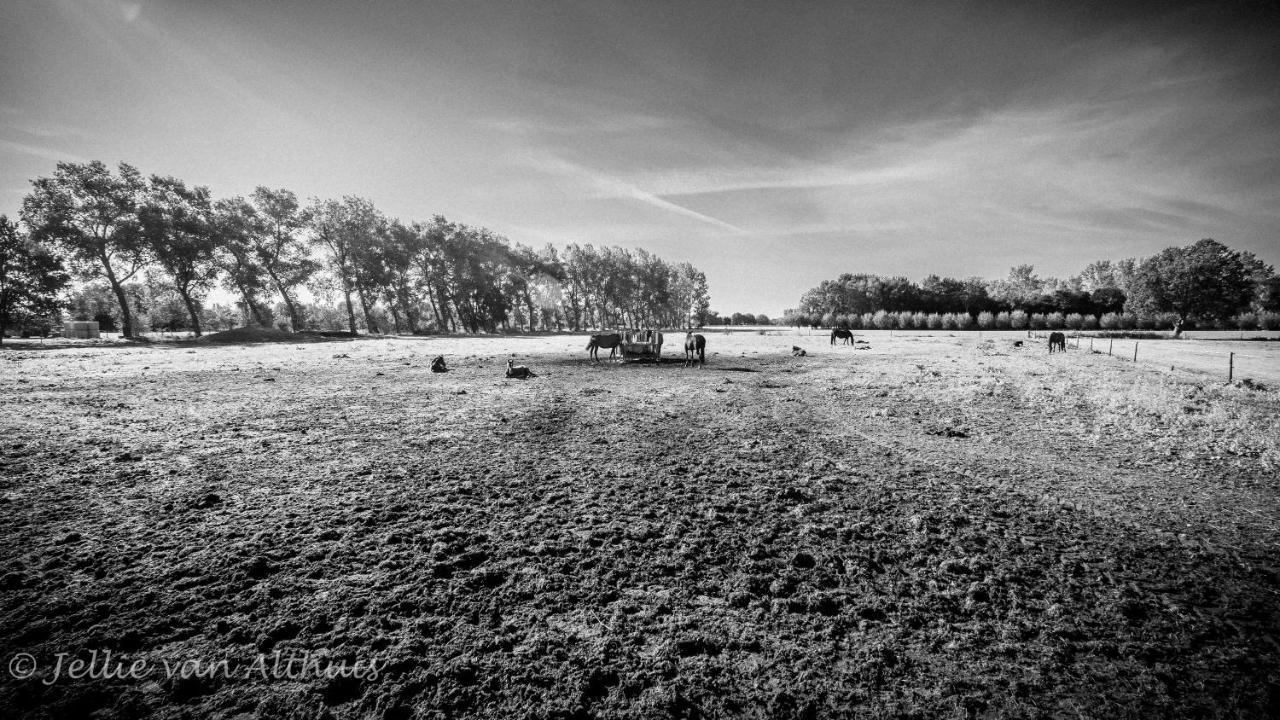 Bed & Breakfast De Bimd Hoeve De Bus Exterior foto